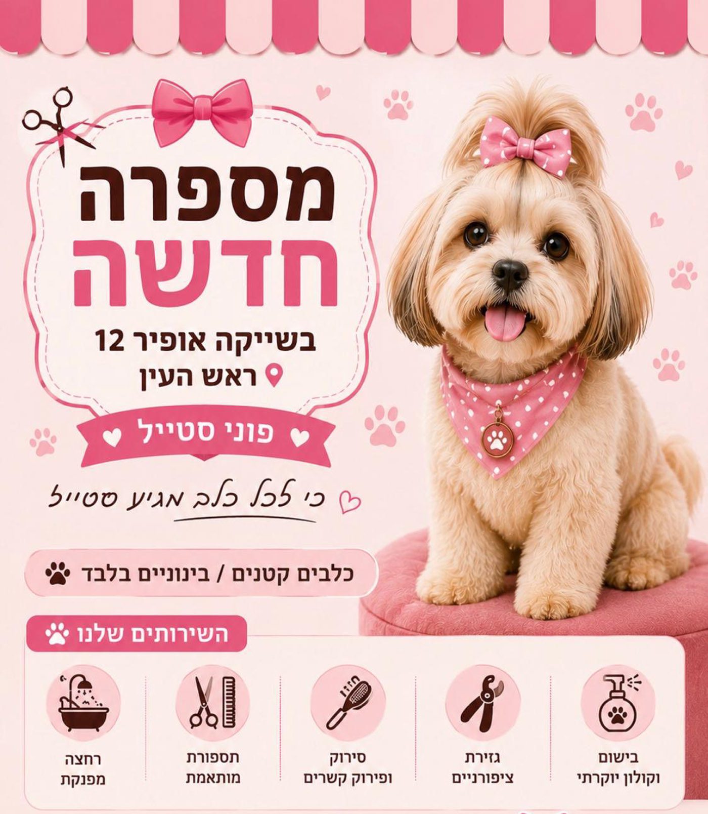 מספרת כלבים